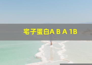 宅子蛋白A B A 1B